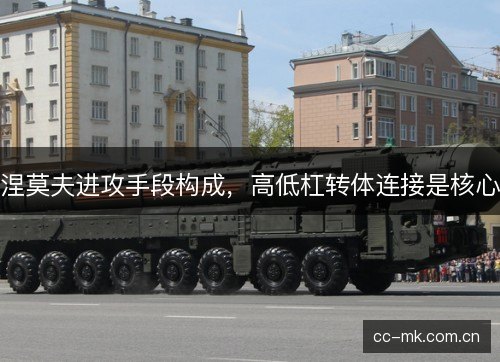 涅莫夫进攻手段构成，高低杠转体连接是核心