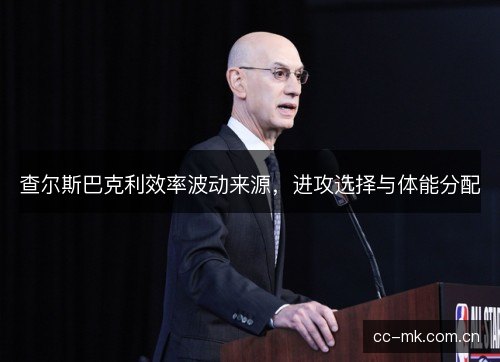 查尔斯巴克利效率波动来源，进攻选择与体能分配