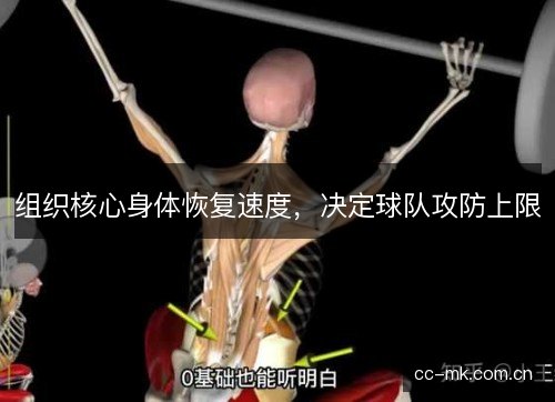 组织核心身体恢复速度，决定球队攻防上限